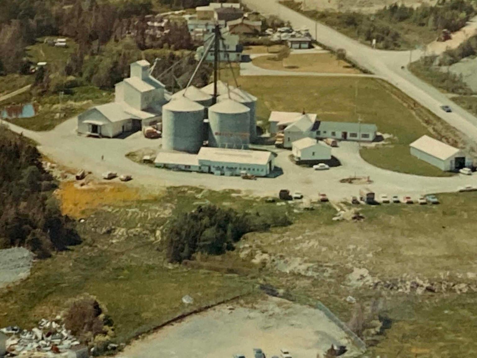 The family chicken farm in Newfoundland, 1968
