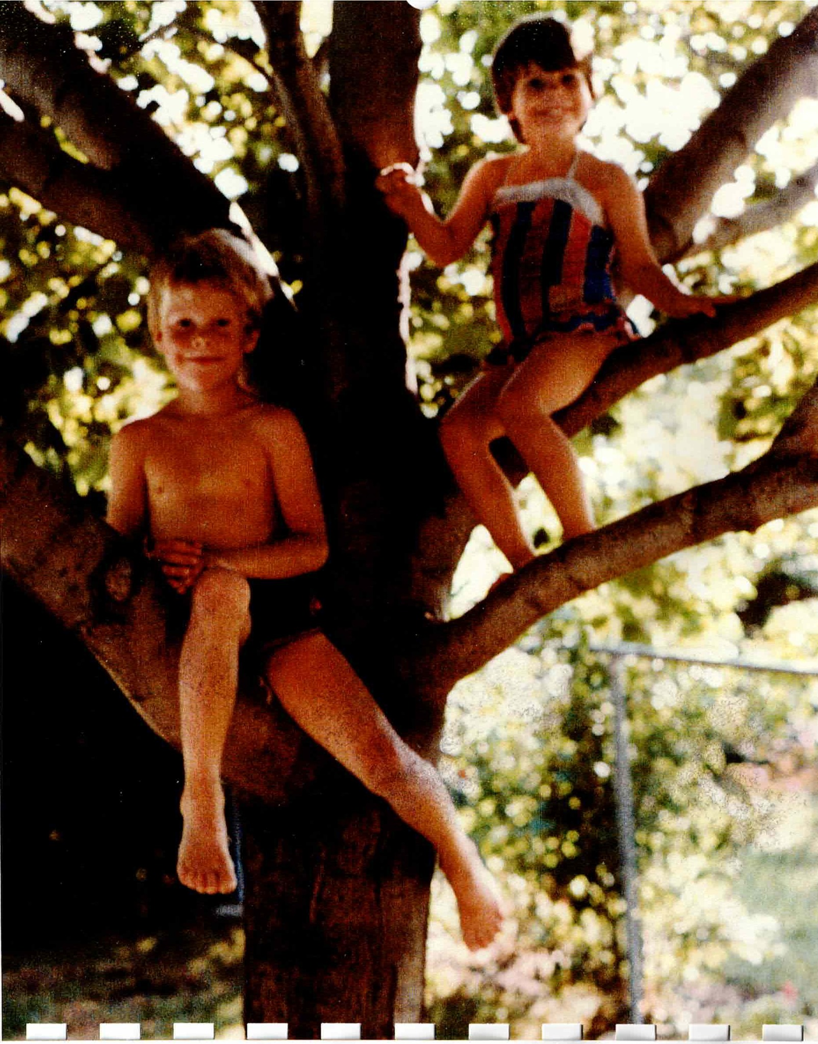 Greg and Dawn in the tree